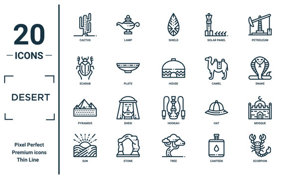 desert linear icon set. includes thin line cactus, scarab, pyramids, sun, scorpion, house, mosque icons for report, presentation, diagram, web design