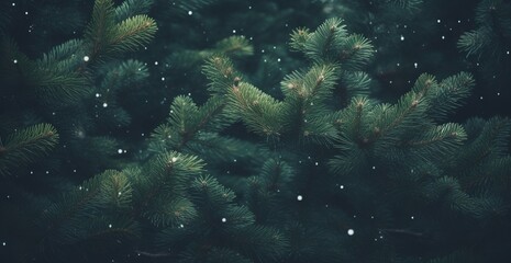 Fototapeta na wymiar Christmas tree background - Generative ai