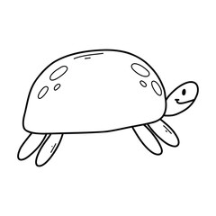 Cute turtle in doodle style. Linear turtle isolated on white background. vector illustration.
