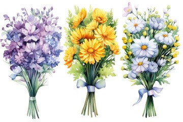 set of Watercolor bouquet of aster and Marigold flower, watercolor Illustration isolated on white background for wedding card, cover, invitations.