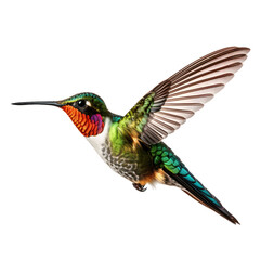 close up of a hummingbird isolated on transparent background. Generative ai