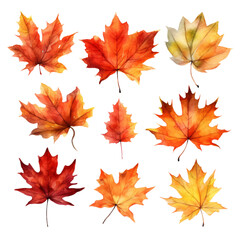 Naklejka na ściany i meble Beautiful Fall Autumn Leaves Watercolor Clip Art, Fall Autumn Leaf Watercolor Illustration, Fall Autumn Sublimation Design