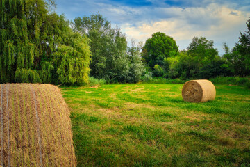 bales of hay - field - harvest - summer - straw - farmland - blue cloudy sky - golden - beautiful - freshly - countryside - haystacks - harvesting - background © Enrico Obergefäll