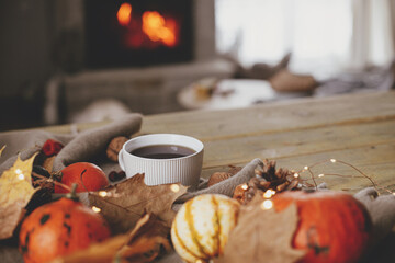 Warm cup of tea, pumpkins, autumn leaves, cones, cozy scarf and lights on rustic wooden table in farmhouse. Fall in rural home. Happy Thanksgiving. Fall hygge still life, copy space