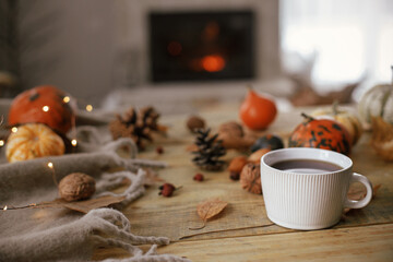 Cozy autumn. Warm cup of tea, pumpkins, autumn leaves, cones, cozy scarf and lights on rustic wooden table in farmhouse. Fall in rural home. Happy Thanksgiving. Fall hygge still life, banner