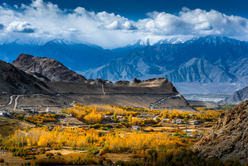 village in leh autumn leaves The backdrop is the Himalayas.