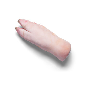 raw whole pork trotter from above with a semitransparent shadow