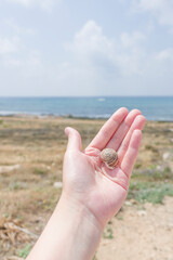 Open palm with a shell on the beach