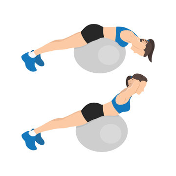 Woman doing stability or swiss ball back extensions exercise. Flat vector illustration isolated on white background