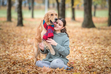 Naklejka na ściany i meble Portrait of a beautiful dark-haired girl with a golden retriever in the autumn park.