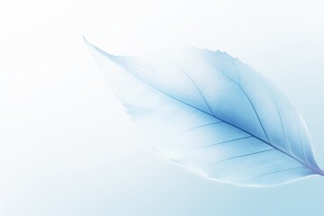 Calm Serenity: Blue Leaf with Fine Strokes on Blue Background, Creating a Tranquil Image