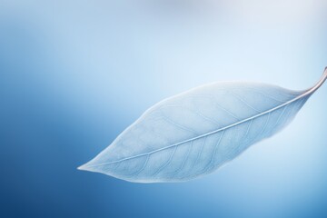 Calm Serenity: Blue Leaf with Fine Strokes on Blue Background, Creating a Tranquil Image