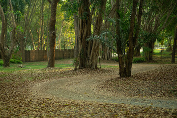 alley in the park