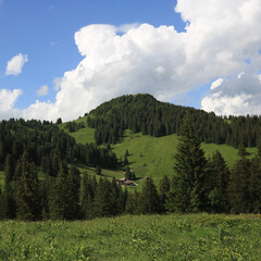 Fototapeta na wymiar Cumulus cloud over Topfelsberg and Walighuerli, small peak and green mountain meadow.