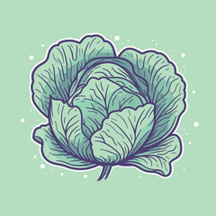 Vector of a vibrant cabbage drawing against a green backdrop