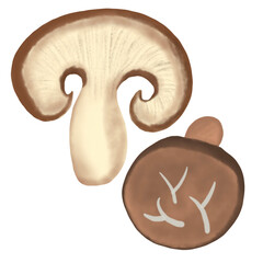 Shiitake mushrooms