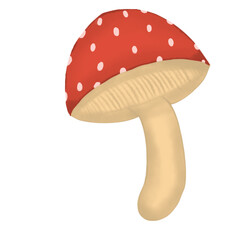 mushroom