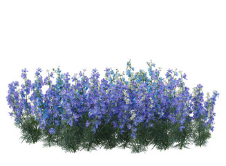 Various types of purple flowers bushes shrub isolated	