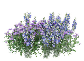 Various types of purple flowers bushes shrub isolated	