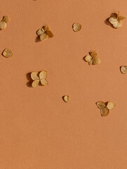 Dried autumn small hydrangea flowers on the brown background frame. Top view. Copy space