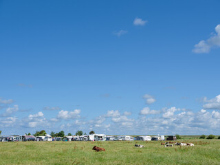 Fototapeta premium Camping in Molkwerum in Friesland