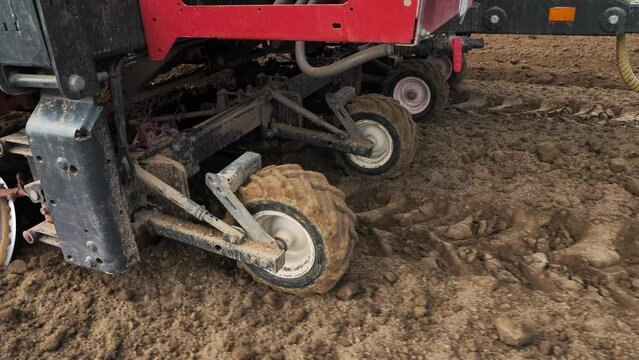 Potato planter rides on a plowed field in spring. Seed potatoes fall into furrow