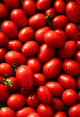 group of ripe and fresh cherry tomatoes on white. harvest. vegetable and fruit shop