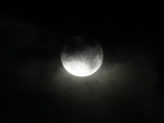 Obraz premium full moon in the night