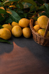 Naklejka na ściany i meble Beautiful image of Mangoes with leaves, Mango day photography