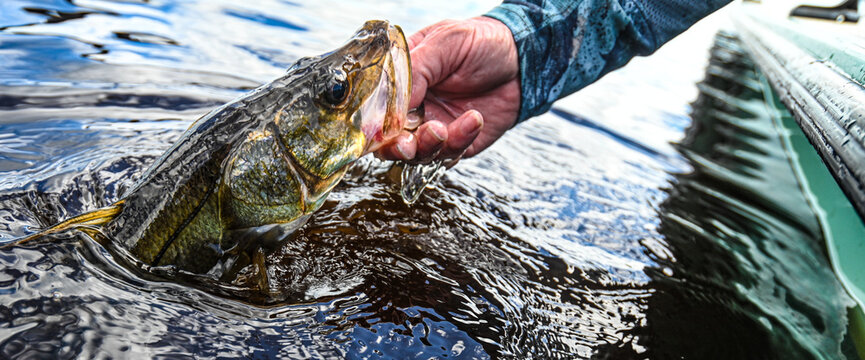 will name after review