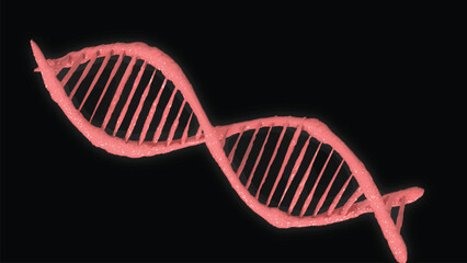 DNA Strand, DNA molecules, Vector illustration