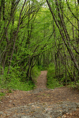 Sentiero dei 18 ponticelli, provincia di Modena, Emilia Romagna