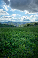 Fototapeta premium Sassi di Roccamalatina, provincia di Modena, Toscana