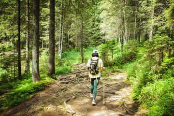 Obraz premium Tourist in the forest with a backpack