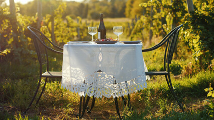 A table with a bottle of wine and tails stands against the background of a vineyard. Place for...