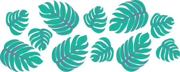 Monstera leaf vector. Tropical print 