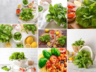 Collage of traditional Italian pasta and green basil