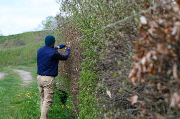 A male gardener trims a hedge in early spring, leveling it with stretched laces