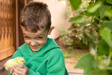 a cute boy in a green sweater around green plants on the wooden stairs smiles and holds yellow chickens in his hands. close-up portrait of a boy with chickens. friendship between man and animals