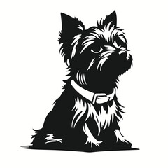 Yorkshire Terrier silhouettes and icons. Black flat color simple elegant Yorkshire Terrier animal vector and illustration.