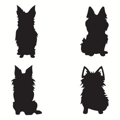 Yorkshire Terrier silhouettes and icons. Black flat color simple elegant Yorkshire Terrier animal vector and illustration.