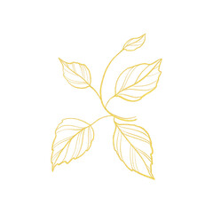 gold line art illustration with branch