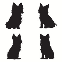 Fototapeta premium Yorkshire Terrier silhouettes and icons. Black flat color simple elegant Yorkshire Terrier animal vector and illustration.