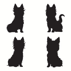 Yorkshire Terrier silhouettes and icons. Black flat color simple elegant Yorkshire Terrier animal vector and illustration.