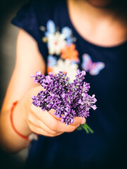 Girl with little lavender bouquet