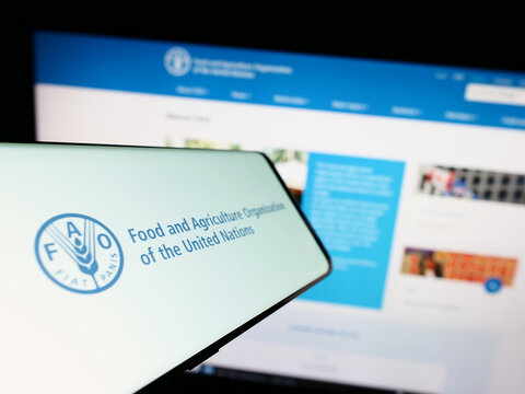 Stuttgart, Germany - 07-11-2023: Smartphone with logo of UN agency Food and Agriculture Organization (FAO) on screen in front of website. Focus on center-left of phone display.