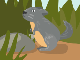 Illustration of a cartoon chinchilla in the grass. Illustration with a funny chinchilla. A gray chinchilla at its usual place of residence. Children's illustration, printing for children's books