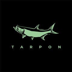 tarpon fish vector on black background. fishing design illustration. vector art