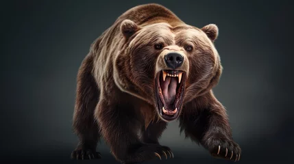 Schilderijen op glas Angry grizzly bear in rage sprinting in water towards camera © Damerfie