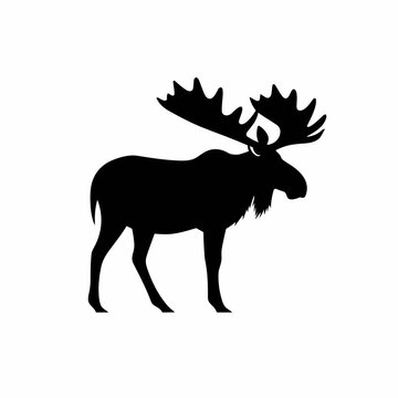 Moose logo, moose icon, moose head, vector